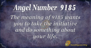 9185 angel number