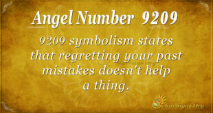 9209 angel number