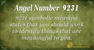 9231 angel number