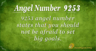 9253 angel number