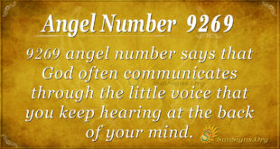 9269 angel number