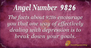 9286 angel number