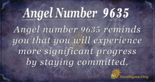 9635 angel number