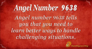 9638 angel number