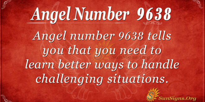 9638 angel number