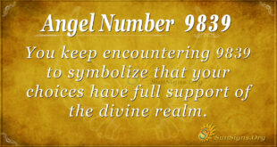 9839 angel number