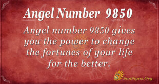 9850 angel number