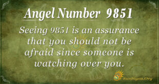 9851 angel number