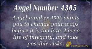 4305 angel number