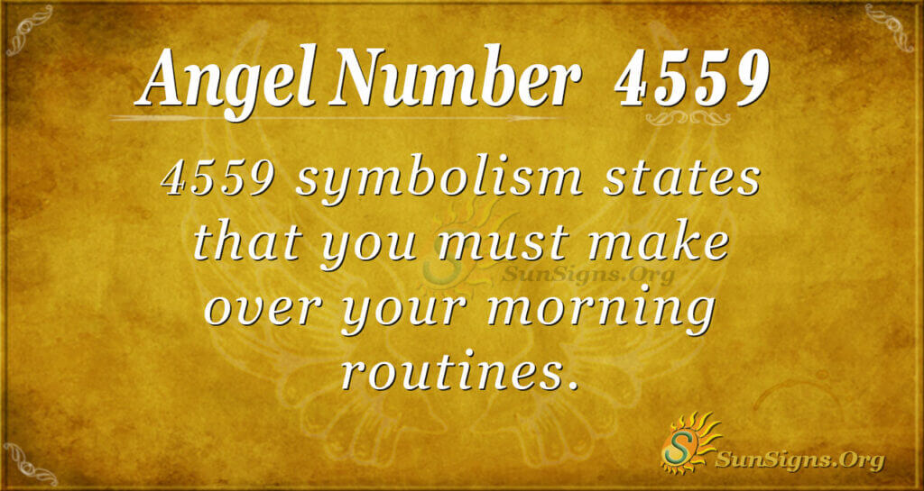 4559 angel number
