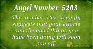 5203 angel number