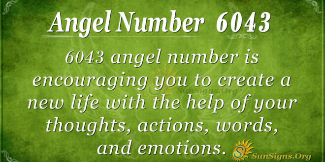 6043 angel number
