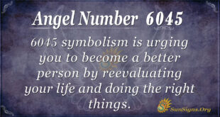 6045 angel number