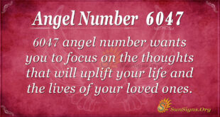 6047 angel number