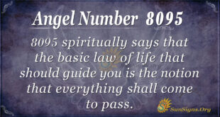 8095 angel number