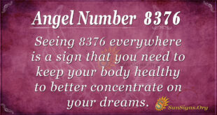 8376 angel number