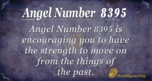 8395 angel number