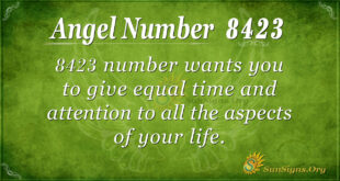 8423 angel number
