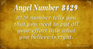 8429 angel number