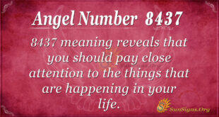8437 angel number