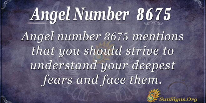 8675 angel number