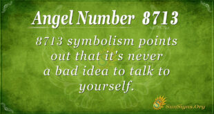 8713 angel number