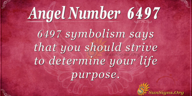 6497 angel number