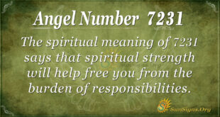 7231 angel number