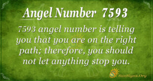 7593 angel number