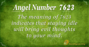 7623 angel number