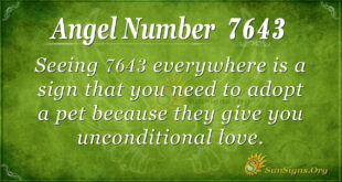 7643 angel number