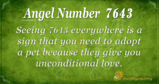 7643 angel number