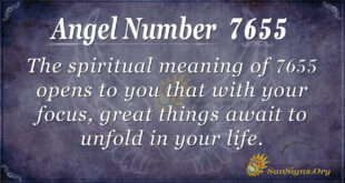 7655 angel number