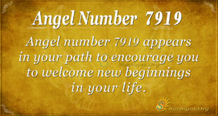 7919 angel number
