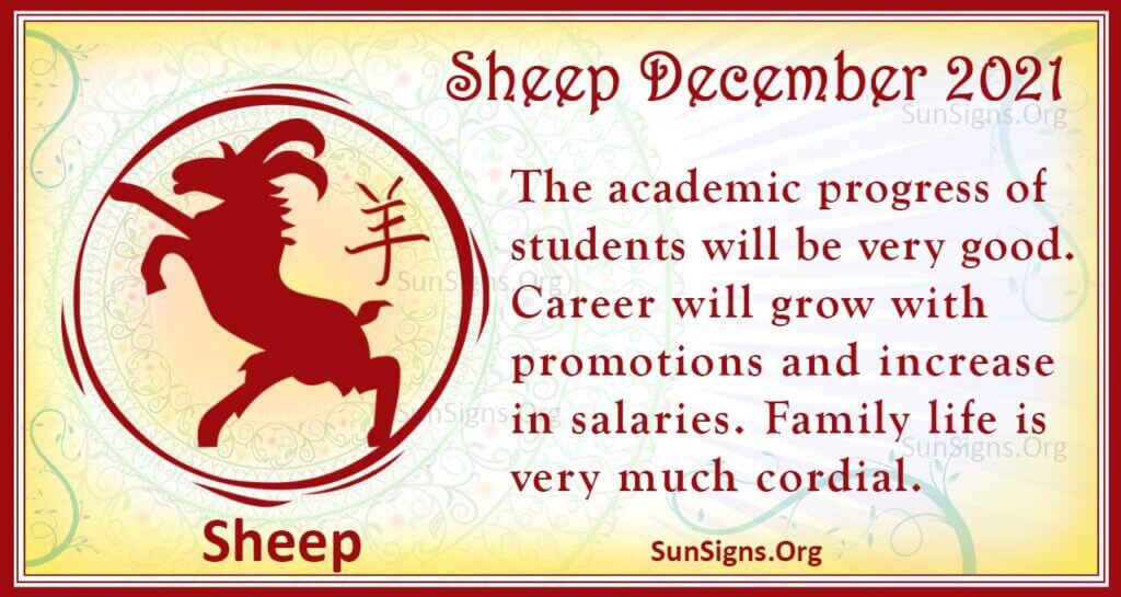 sheep december 2021