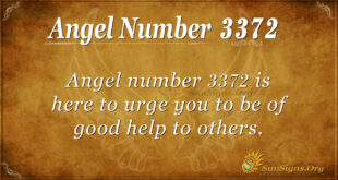 3372 angel number