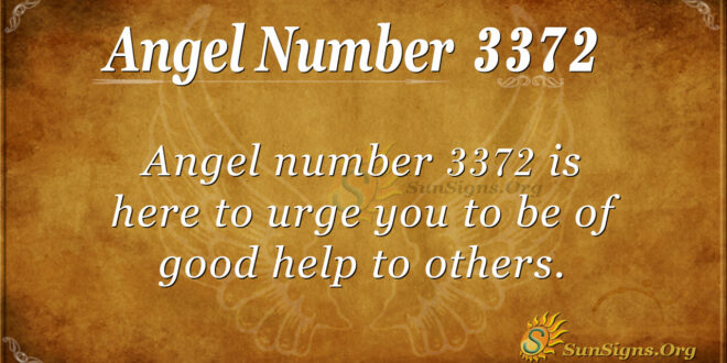3372 angel number