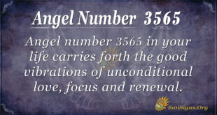 3565 angel number
