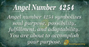 4254 angel number