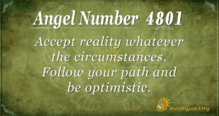 4801 angel number
