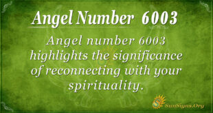 6003 angel number