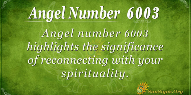 6003 angel number