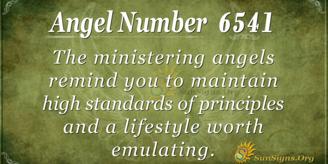 6541 angel number
