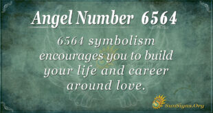 6564 angel number