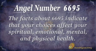 6695 angel number