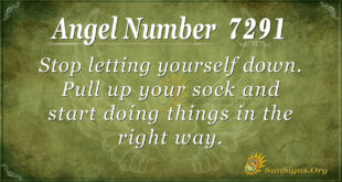 7291 angel number