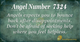 7324 angel number