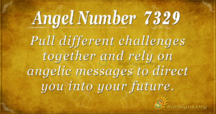 7329 angel number