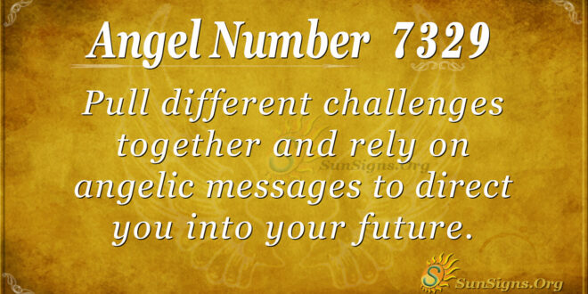 7329 angel number