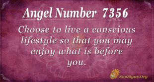7356 angel number